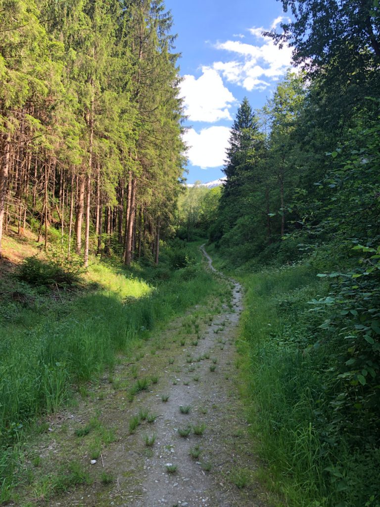 Singletrail zum Hotel