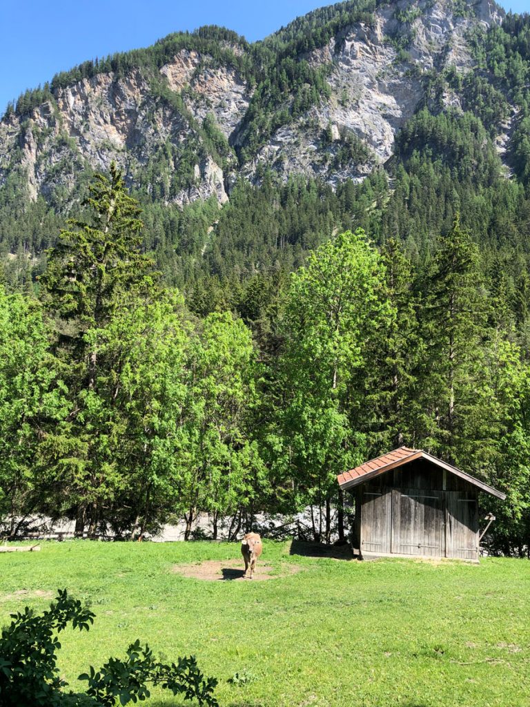 Auf der ursprünglichen Route wurde es wieder schön