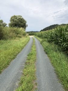 Traumhafter Radwanderweg