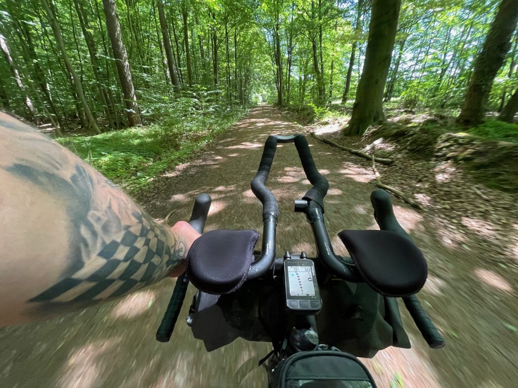 Orbit360 - Ritt durch den Wald