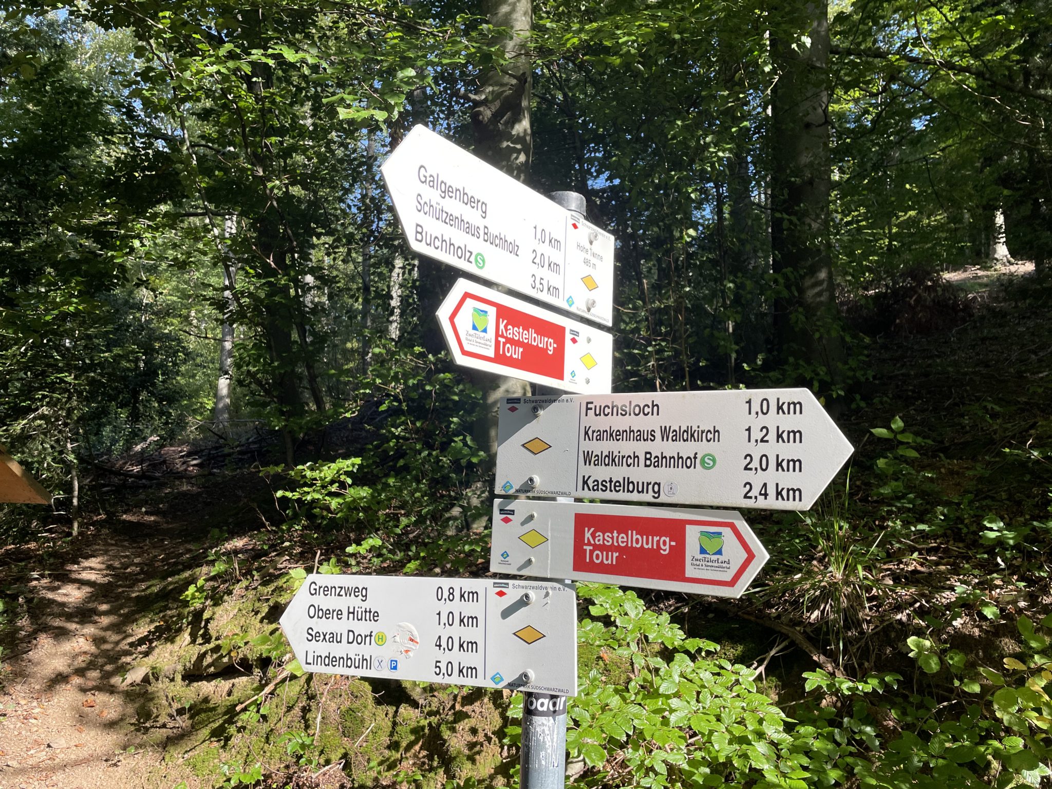 Auf den Wanderwegen im Schwarzwald