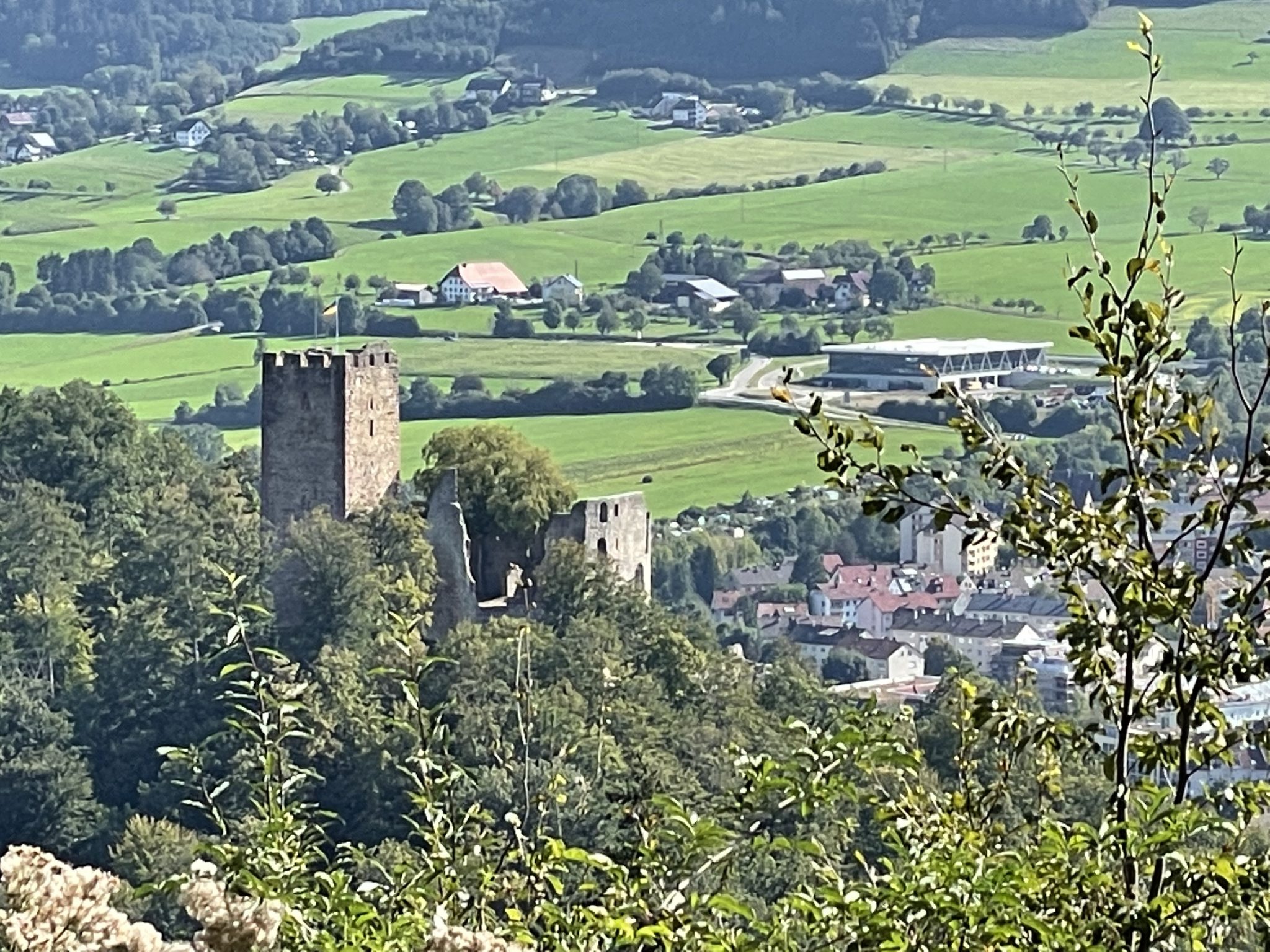 Die Kastelburg bei Waldkirch