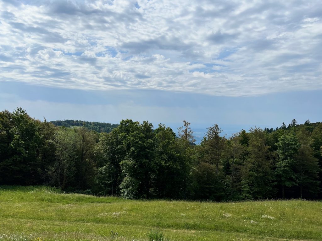 Ein schöner Blick vom Col du Ballon d'Alsace